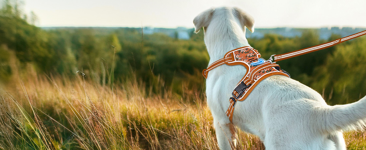 Шлейка для собак HEELE з поглинанням ривка, світловідбиваюча, для середніх собак, з м'яким ручним захопленням, коричнева, розмір M (L - обхват грудей: 43-86 см)
