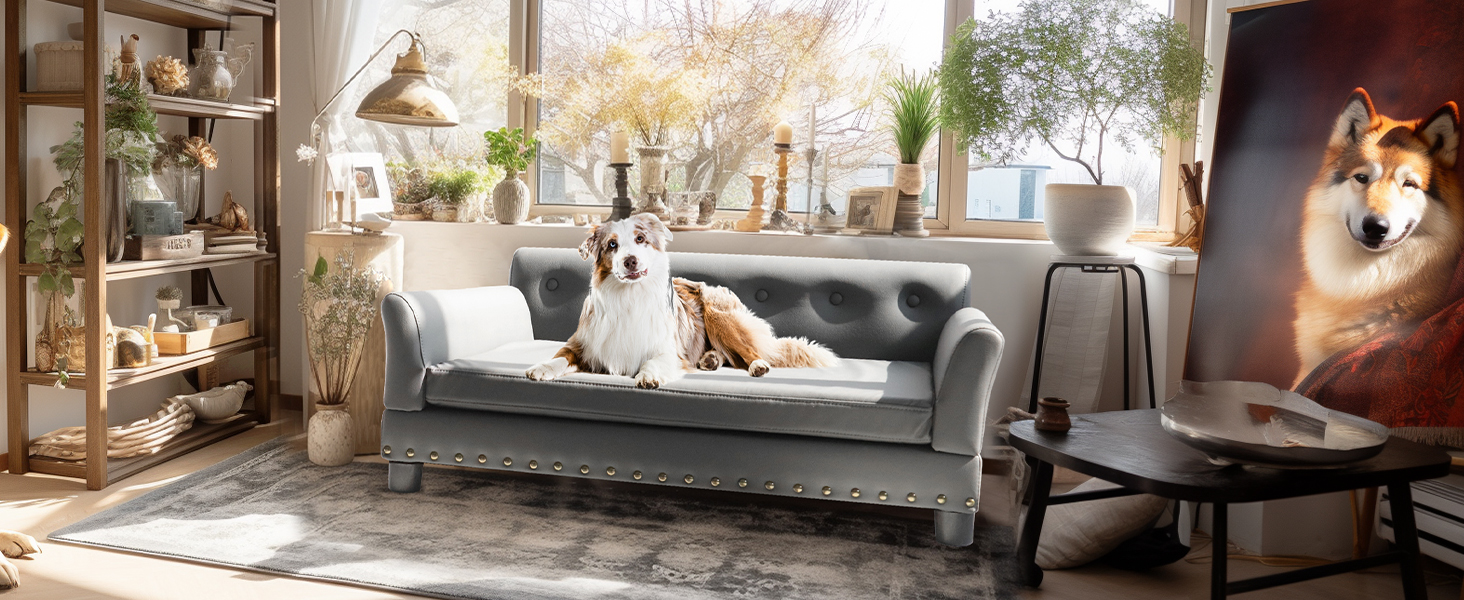 Софа для собак BingoPaw Luxus: велика ортопедична софа для собак XL, сіра, 120x74x40 см