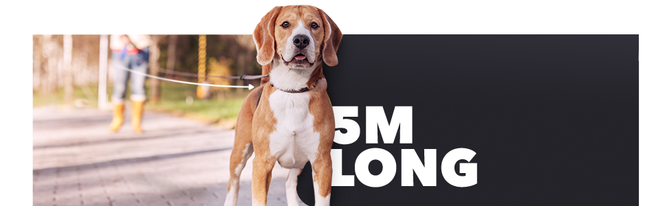 Висувна поводок для собак FurDreams – міцний, 5-метровий поводок з надійним затискачем | Нековзний ручка з контролем блокування | Міцний нейлоновий поводок, що не заплутується & гачок для нашийника (Чорний, Великий) Чорний Великий