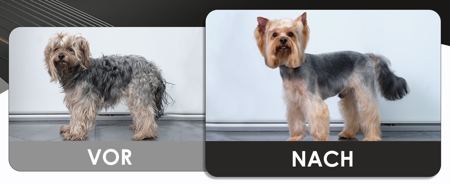 Набір професійних ножиць для грумінгу собак 5шт (прямі, вигнуті, для розрідження), чорний