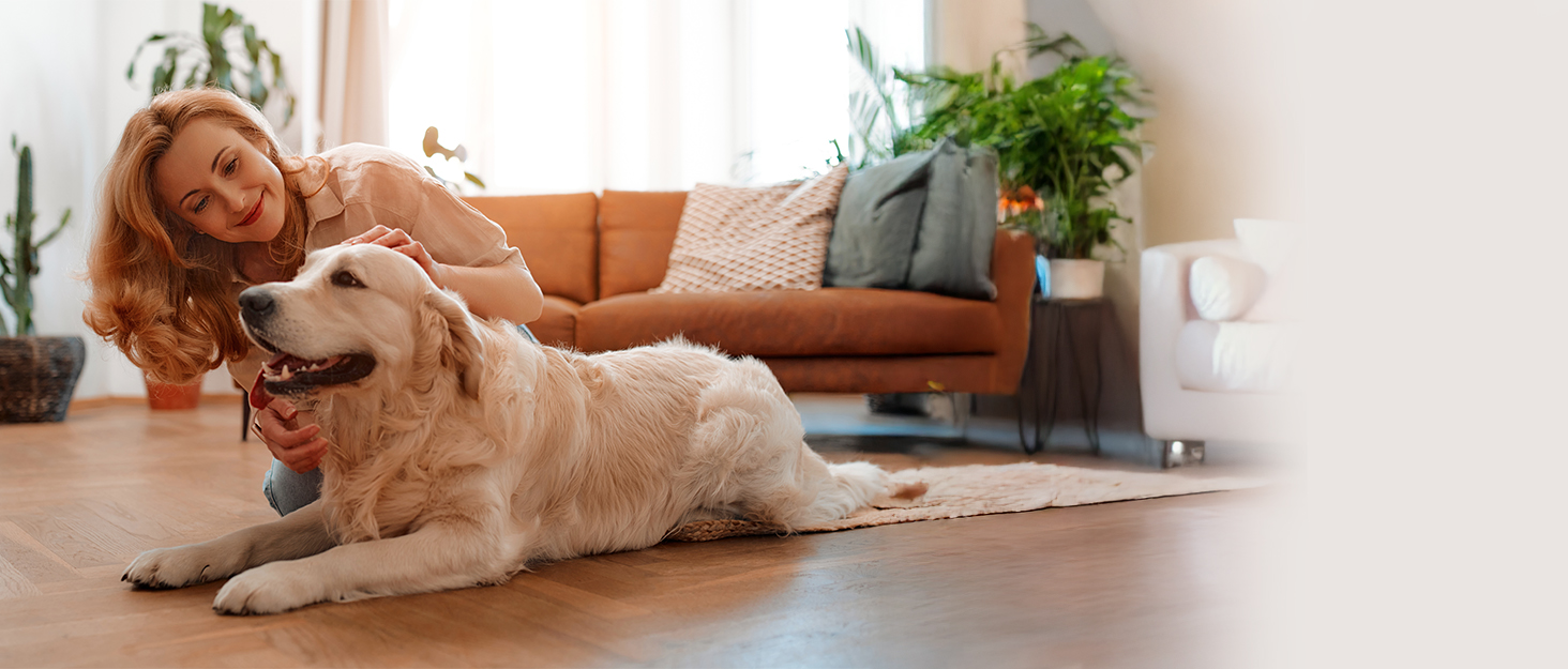 Бездротовий акумуляторний пилосос 600W з потужністю всмоктування 50KPA, 70 хвилин роботи, самостійна парковка, антизаплутана щітка та LED-дисплей, 8-ступенева фільтрація, кріплення на стіну, для шерсті тварин/килимів/твердих поверхонь/автомобіля (фіолетовий)