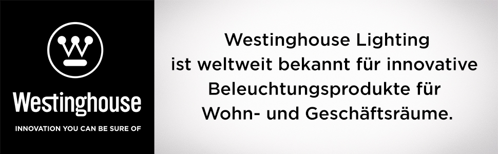 Вентилятор стельовий Cyclone 132 см, з нержавіючої сталі