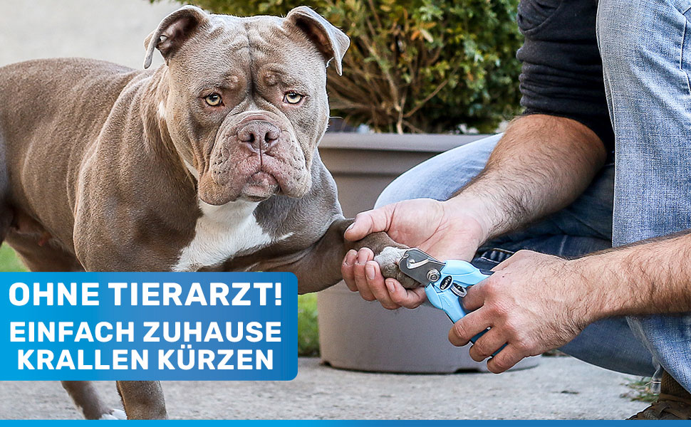 Ножиці для обрізання кігтів BluePet Profi Krallenschere для собак та котів - професійні, регульовані, з напильником, рожеві (M-XL)