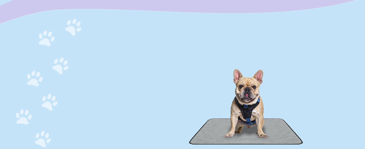 М'яка ковдра для собак Normani - килимок для тварин з безпечного матеріалу, 40x50 см, 60x80 см, 70x100 см, сірий колір