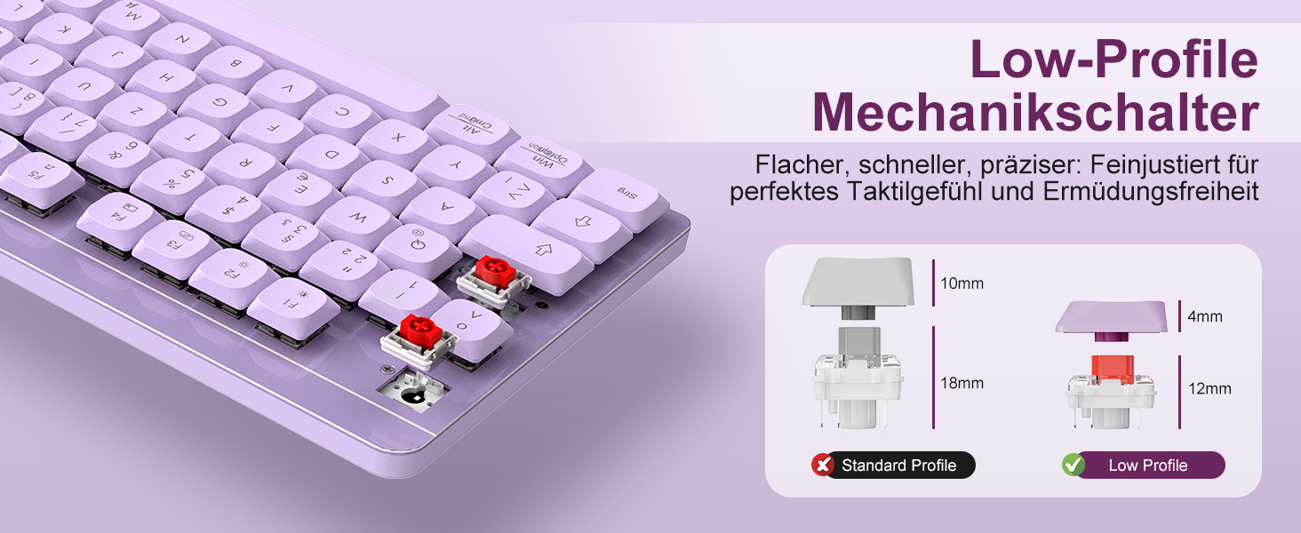 Leadsail FA98 Бездротова Механічна Клавіатура та Миша, QWERTZ, 98 Клавіш, 1600 DPI, для Windows/MacOS/PC/Laptop (Лідська)