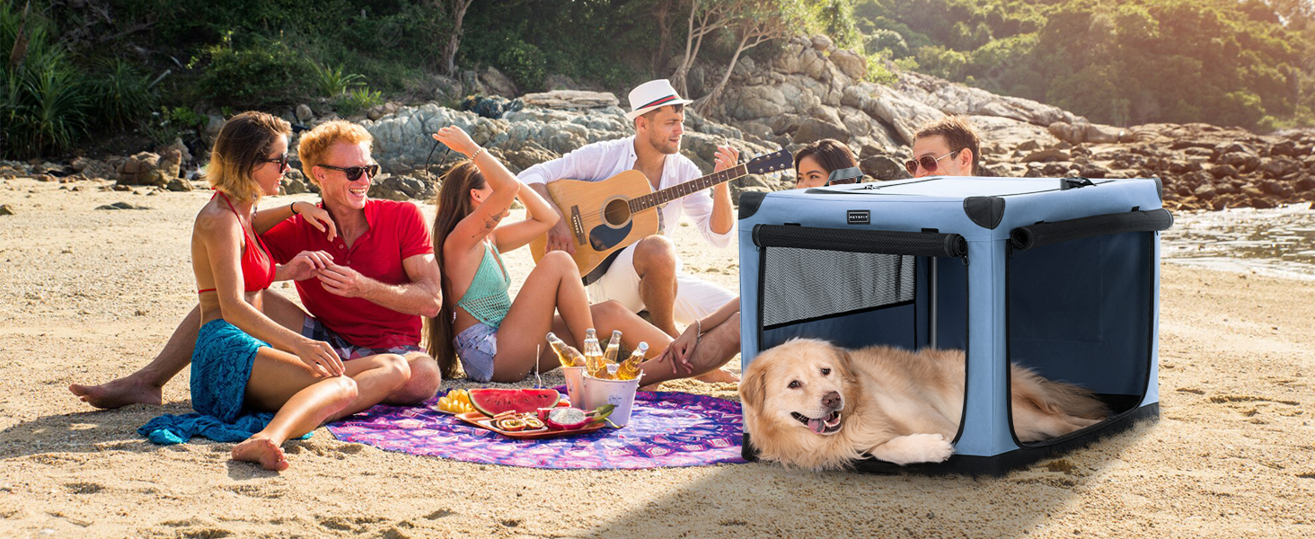 Транспортна переноска для собак та котів Petsfit, складана, для подорожей та авто, блакитна