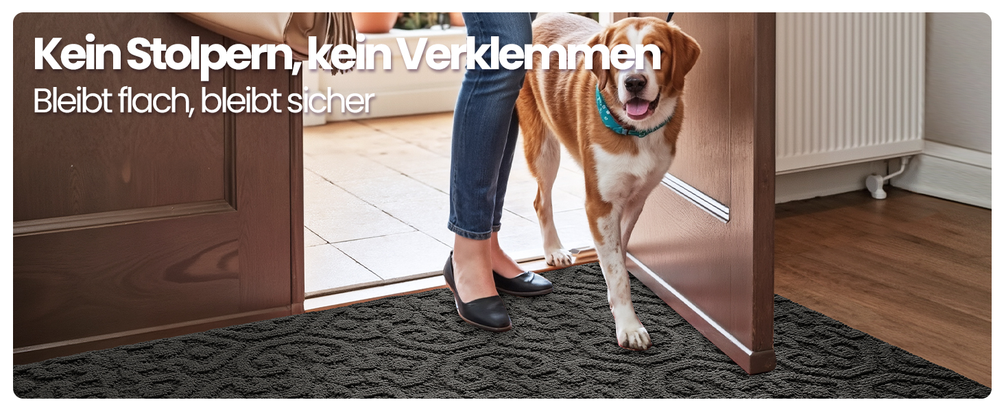 При Entrance килимок DEXI 60x90 см, протиковзний вбираючий килим для входу, передпокою та тераси, антрацит