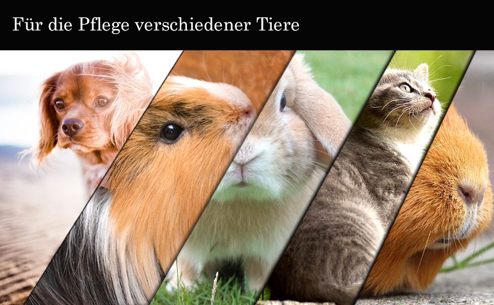 Ножиці для стрижки собак та котів Solingen, професійні ножиці для грумінгу з мікрозубом, 16,5 см, Made in Germany