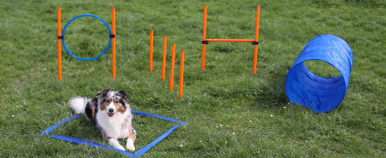 Набір для аджиліті для собак маленьких та середніх порід | Набір для дресирування собак з бар'єрами, тунелем та кільцем для стрибків | Початковий набір для собачого спорту