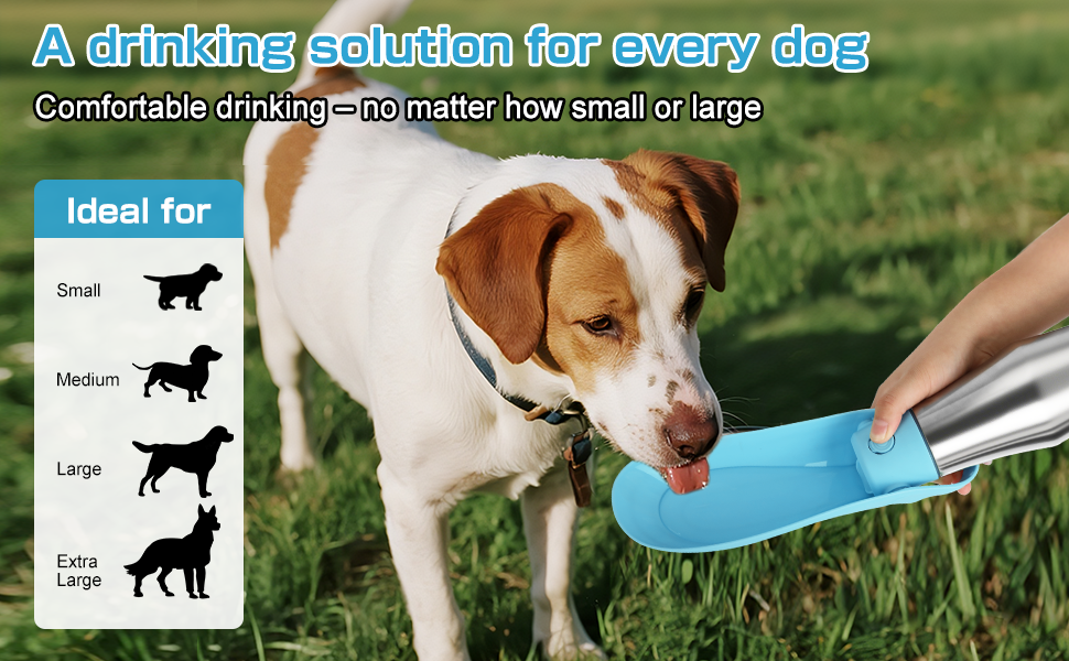 Водяна пляшка для собак на прогулянці - не протікає, з нержавіючої сталі, подвійні стінки, вакуумна ізоляція, 750 мл (Блакитна)