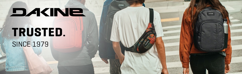 Dakine Classic Hip Pack: поясна сумка на пояс з 2 відділеннями на блискавці, кишеня для сонцезахисних окулярів, унісекс, чорний