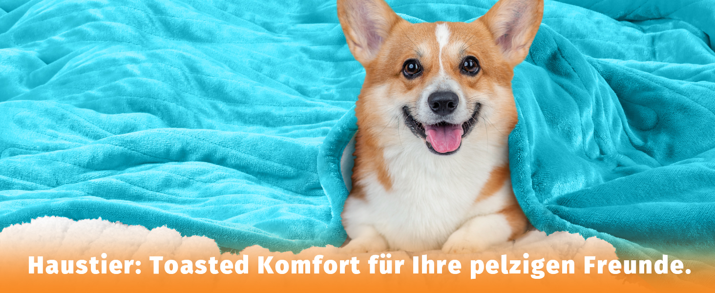 Електрична ковдра BOMOVA з автовимкненням, плюшева ковдра для дому, 10 температурних режимів, таймер 5 годин, 130x180 см, колір блакитний