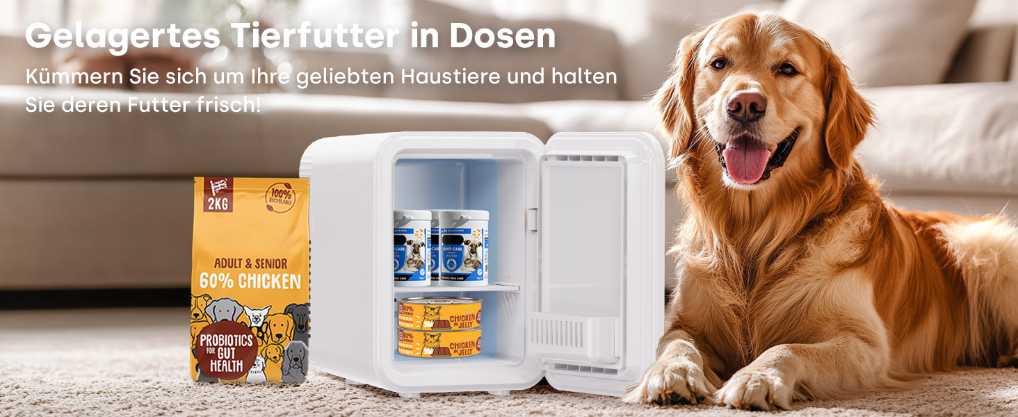 Mini холодильник Enventor 10L з двома режимами (охолодження/нагрівання), 12V/220V, для авто, кімнати, офісу, косметики, тихий