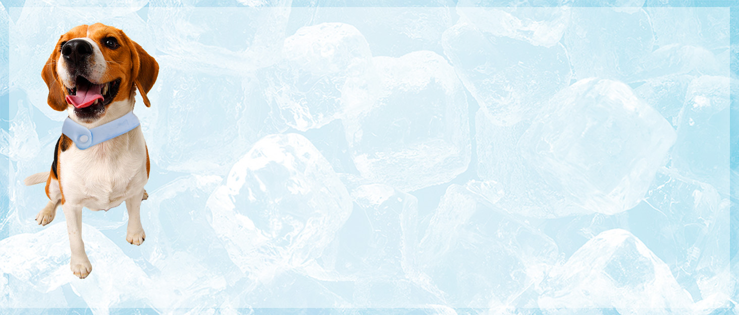 Басейн для собак DEWEL, складаний, 80x30 см, блакитний, з ручкою та щіткою для догляду