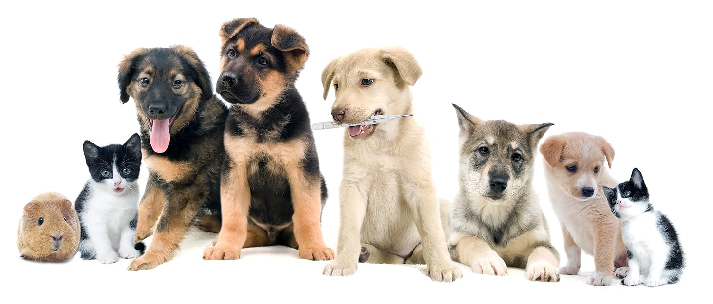 Кігтеточка-будиночок для котів у сірому кольорі – затишне місце для сну та відпочинку, лежанка з м'яким, пральним подушком та іграшковою кулькою, для котів та дрібних домашніх тварин