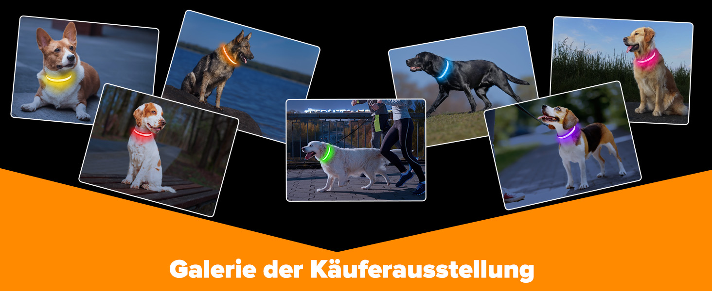 Світлодіодне нашийник для собак Leuchthalsband PcEoTllar, водонепроникний, 7 кольорів, регульований, для маленьких та великих собак, 8 режимів, синій, L (48-60 см)