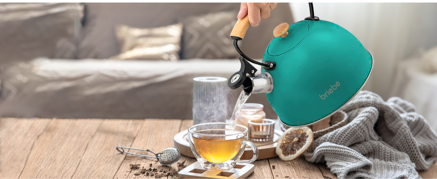 Чайник Nordic Wasserkessel Induktion 2.3L з нержавіючої сталі, з свистком, для чаю та кави, сумісний з усіма типами плит (індукційні, склокерамічні, газові, електричні), з дерев'яною ручкою Cool-Touch, ретро дизайн, зелений