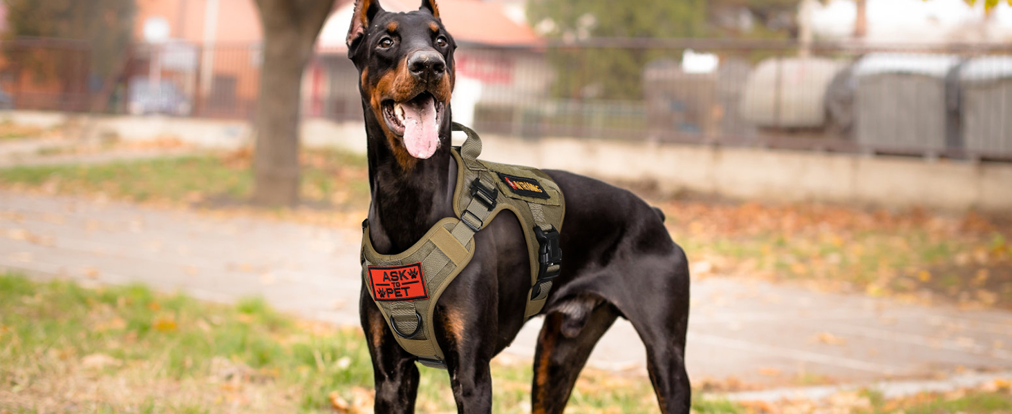 Шлейка для собак Rabbitgoo для великих собак без натягу, тактична нагрудна шлейка з MOLLE, металеві пряжки, дихаюча, військова, регульована, з підкладкою, L (1 шт., коричнева)