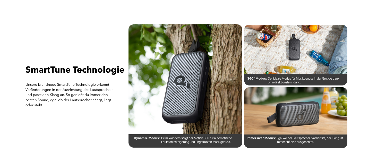 Soundcore Motion 300 - Бездроковий портативний Bluetooth-динамік з BassUp, SmartTune, 30W, 13h, IPX7, для дому, саду, кемпінгу та подорожей, Чорний