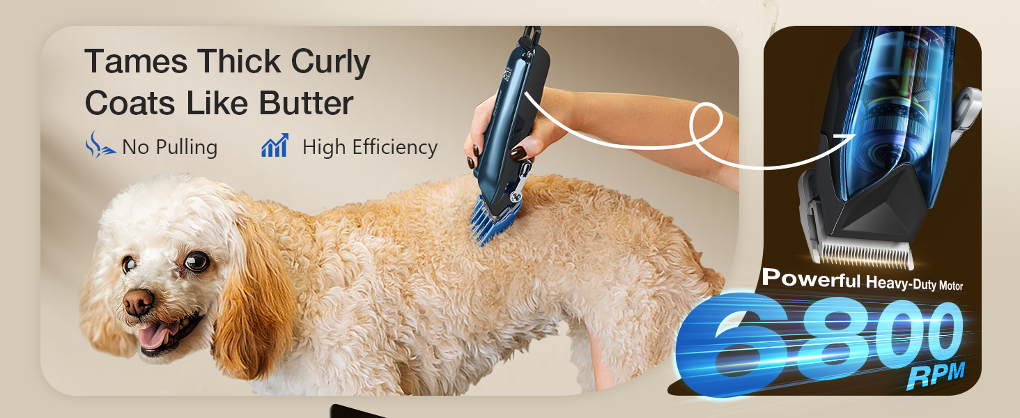 Професійна машинка для стрижки собак Leise - для густого та кучерявого хутра, блакитна