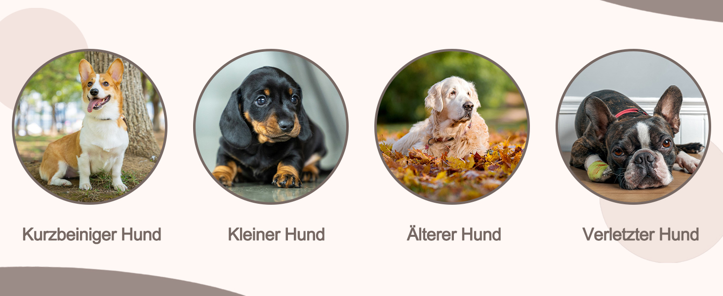 Сходинки для тварин Galatée: 3-ступеневі сходи для собак та котів, знімний чохол на блискавці, з високощільну шару, колір світло-коричневий