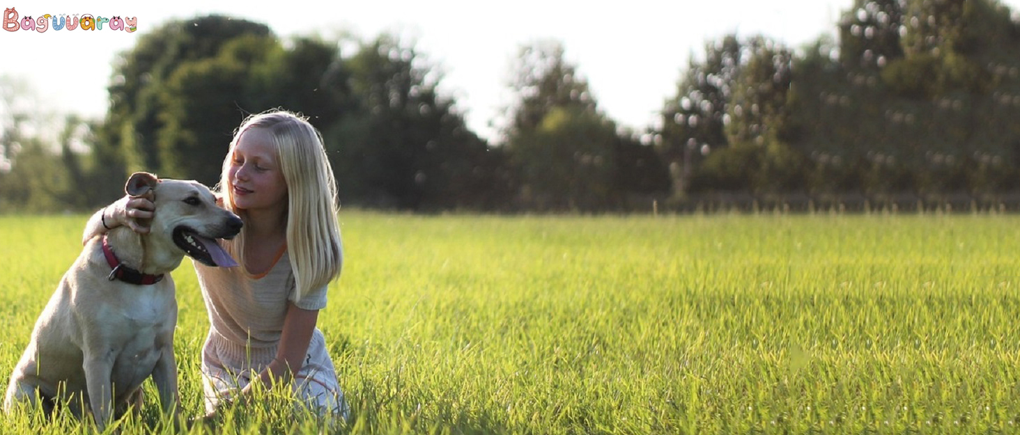 Крісло-лежанка для котів та собак 50 см, м'яке, плюшеве, антиковзаюче, легко миється, темно-сірий колір