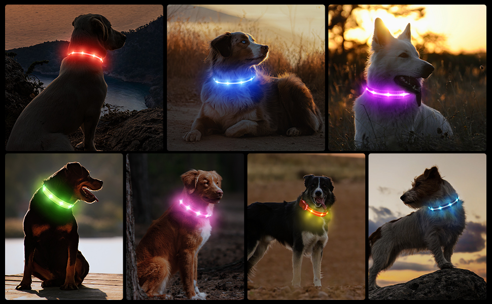 Світлодіодне нашийник для собак Masbrill з підзарядкою, 7 кольорів RGB, 8 режимів світіння, регульований, вологостійкий, для собак маленьких, середніх та великих порід, чорний, розмір M