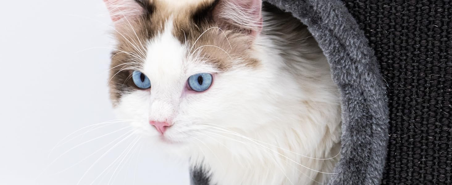 Кігтеточка Petrebels Dome, 80 см, чорна: стабільна та міцна