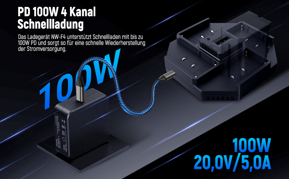 Зарядний пристрій NEEWER Micro USB для акумуляторів Sony NP-F550/F750/F960/F970, NP-FM50/FM70/FM90, QM71D, 91D, NP-F500H/F55H