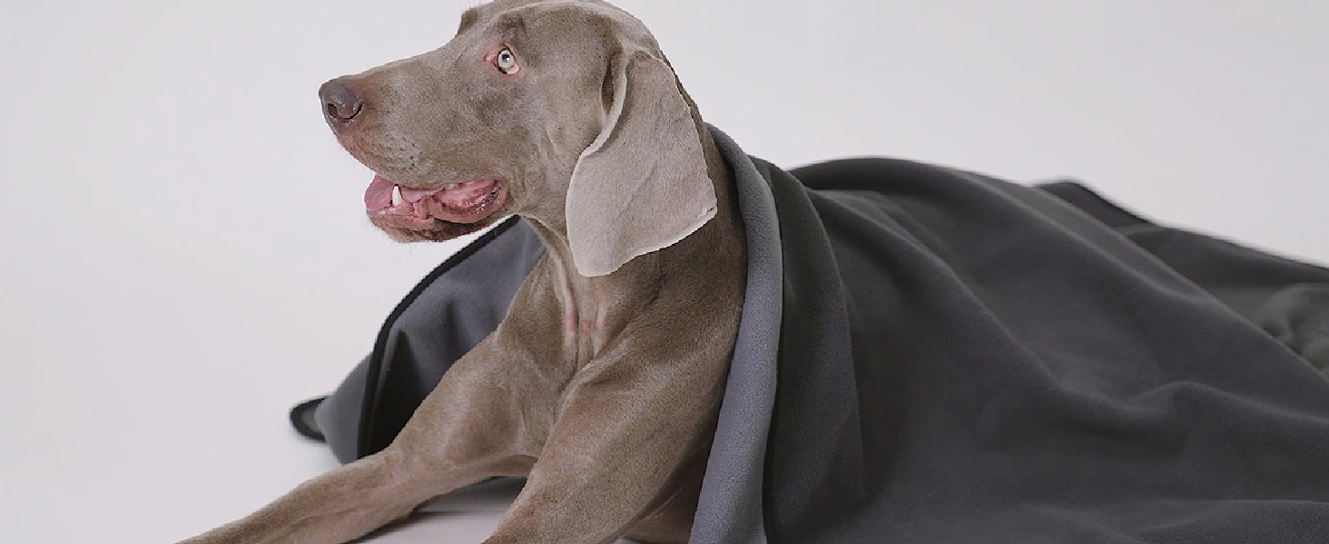 Водонепроникний коврик для собак PETTOM 152x127 см, м'який коврик для великих та маленьких собак, захисний коврик для дивана, ліжка, автокрісла, меблів - прання до 30°C (L, Сірий)