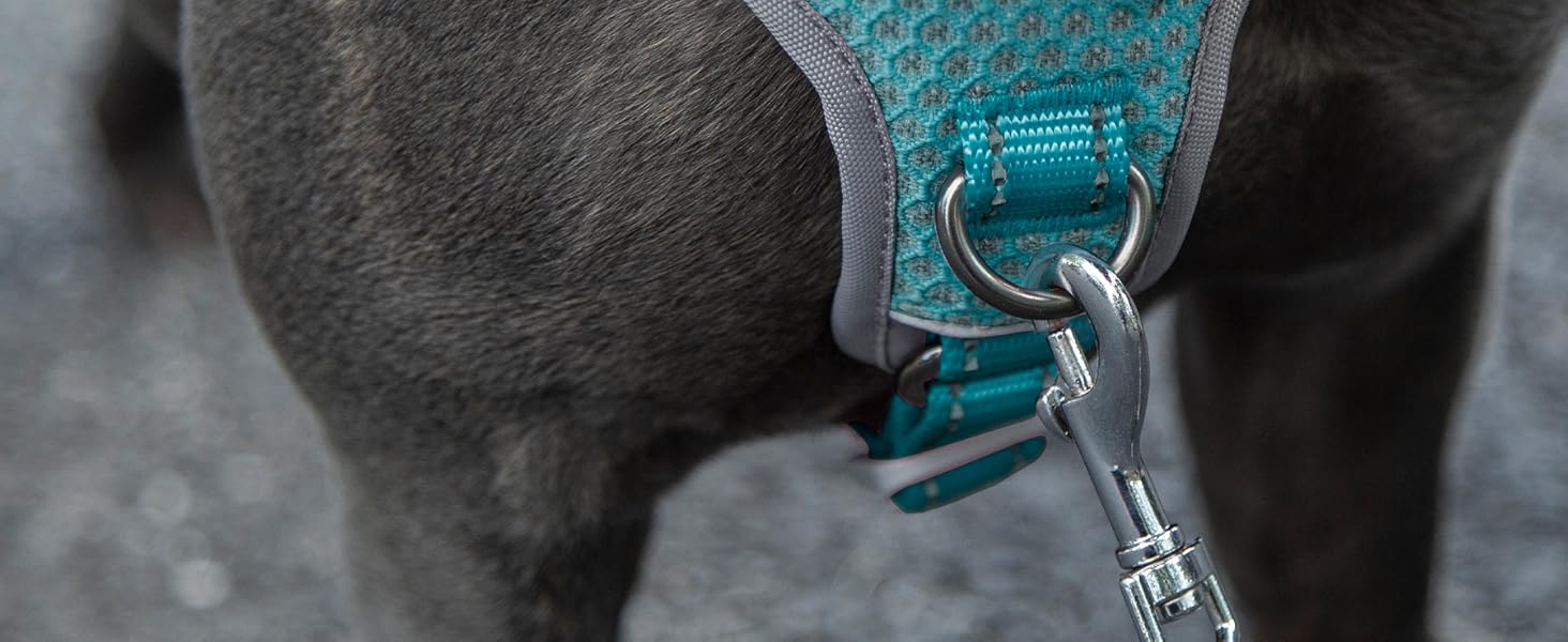 Шлейка безпеки для собак Huntboo, антизламна, зі світловідбиваючими елементами та м'якою ручкою, регульована жилетка для маленьких собак, для прогулянок та тренувань (S, Синій, X-Small, упаковка з 1)