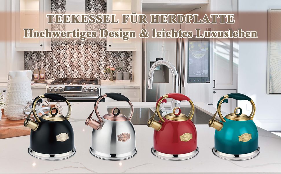 Чайник-свисток 3L з нержавіючої сталі, з термостійкою ручкою, для індукційних плит, чорний