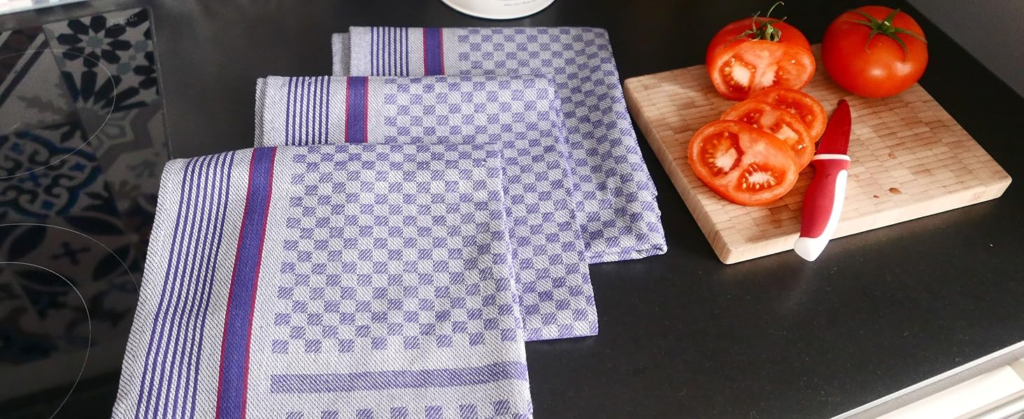 ZOLLNER 10-Piece Dishcloth Set, 50x100 cm, Cotton, Blue Checkered