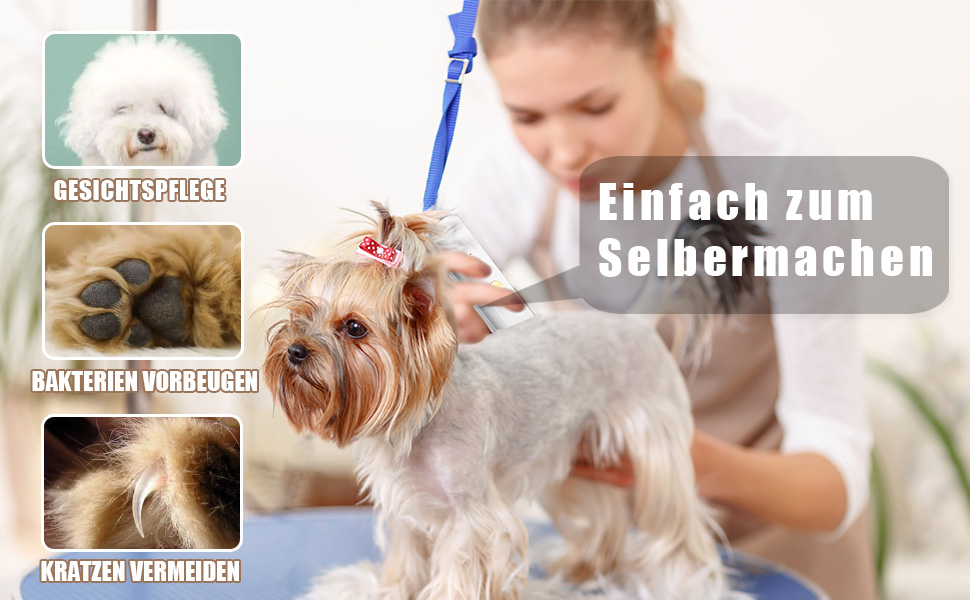 Машинка для стрижки собак і котів Leise, акумуляторна, 7000 об/хв, 4 насадки для догляду за лапами, очима, вухами, обличчям та тілом