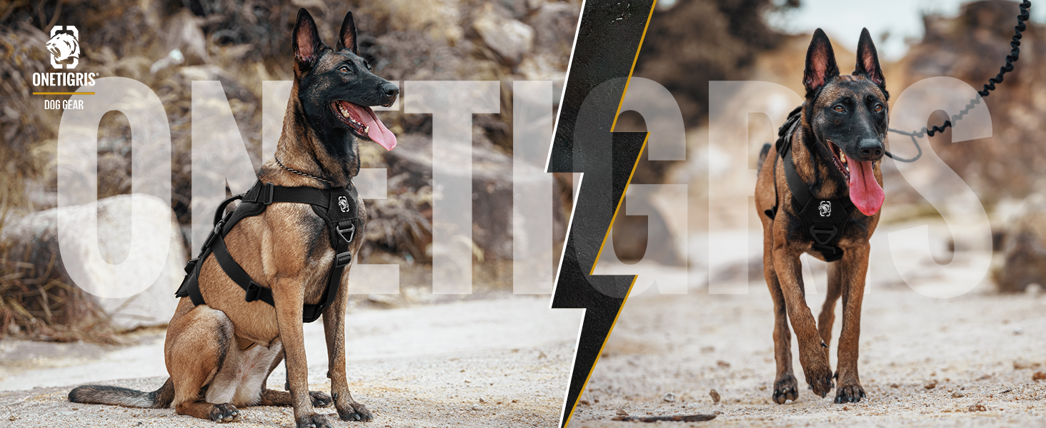 Шлейка для собак OneTigris T-Bone, тактична, з двома ручками, чорна, M (14-27 кг)