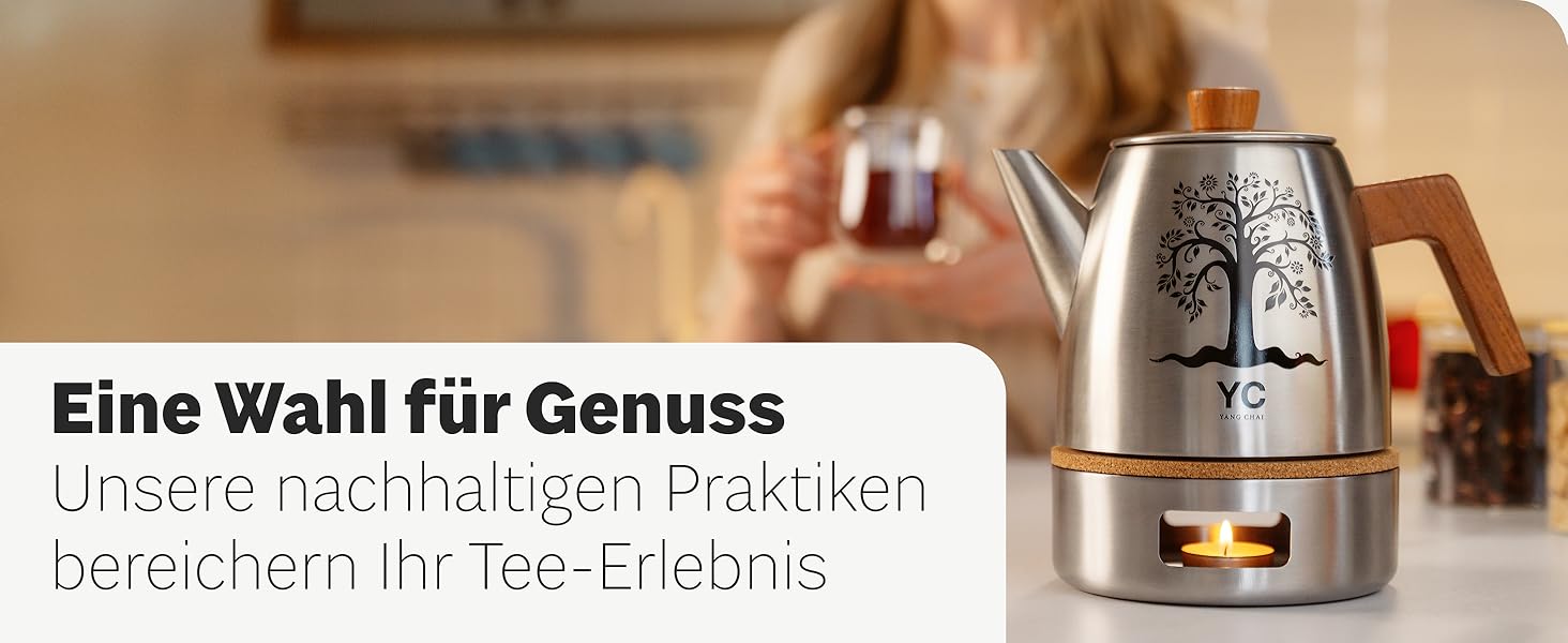 Термос-чайник YC Yang Chai з ситом із нержавіючої сталі 304, двостінний, 1.1 л, з дубовими ручками, сріблястий