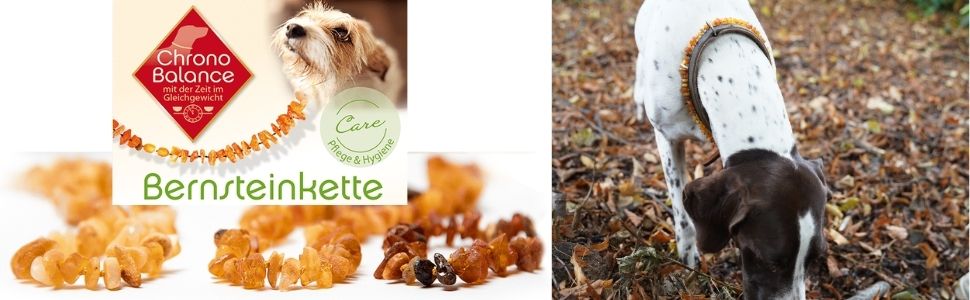 Намисто з бурштину для собак ChronoBalance®: стильне та корисне ожерелье з натурального бурштину з регульованою шкіряною застібкою, підходить для собак різних розмірів, без хімії, довжина 31-34 см