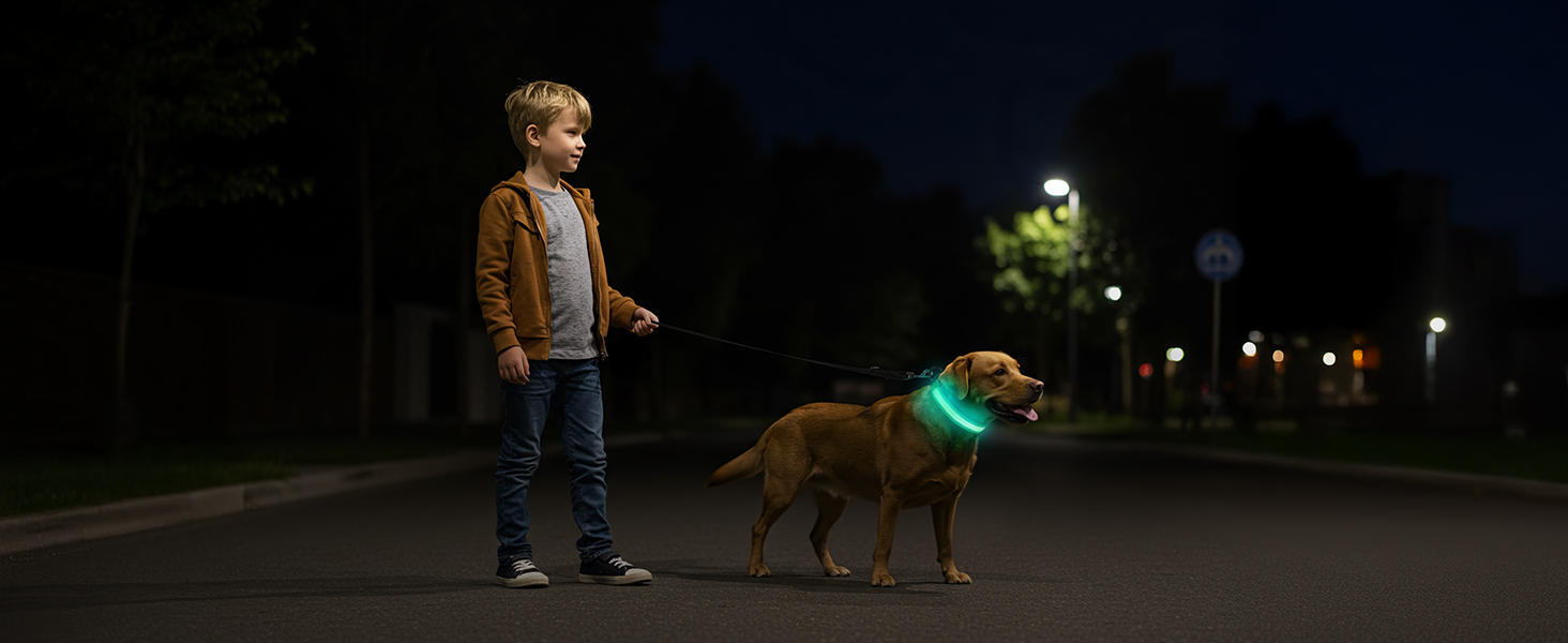 Світлодіодне нашийник для собак Jewyow 7-в-1, багатоквітний, USB-C, водонепроникний, для малих, середніх та великих собак - Синій, M