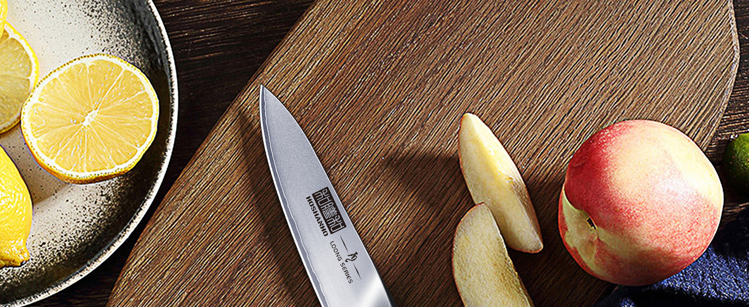 Ніж для чищення HOSHANHO 10 см, професійний ніж для фруктів та овочів, кухонний ніж з високоякісної нержавіючої сталі, ергономічна ручка з гострим лезом, срібний