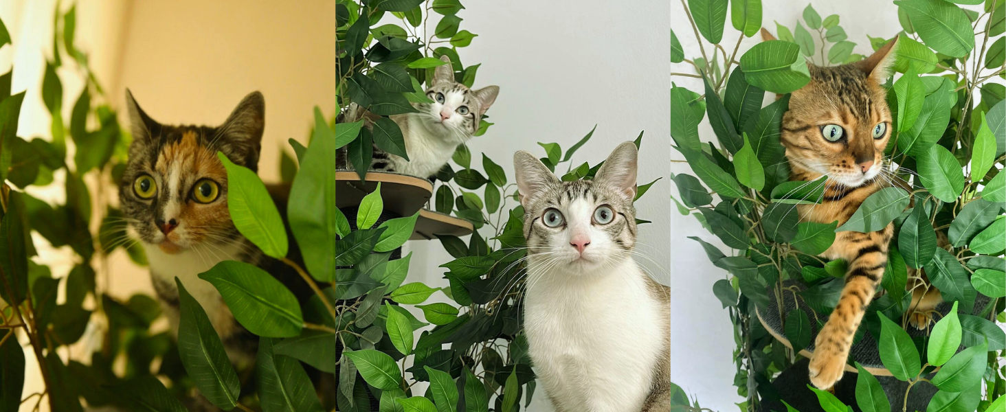 Дерево для котів Kratzbaum Natur - багатоярусне, з можливістю заміни листів, 160 см. Безпечні матеріали, міцне та запатентоване.