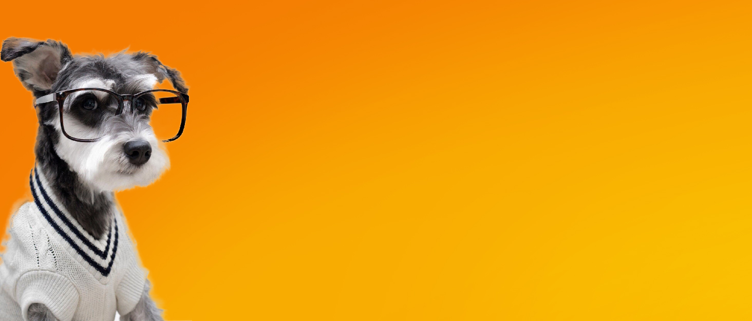 Набір для стрижки собак та котів Leise: акумуляторна машинка з 4 насадками, водонепроникна IPX7, для догляду за мордочкою, вухами, лапами та тілом