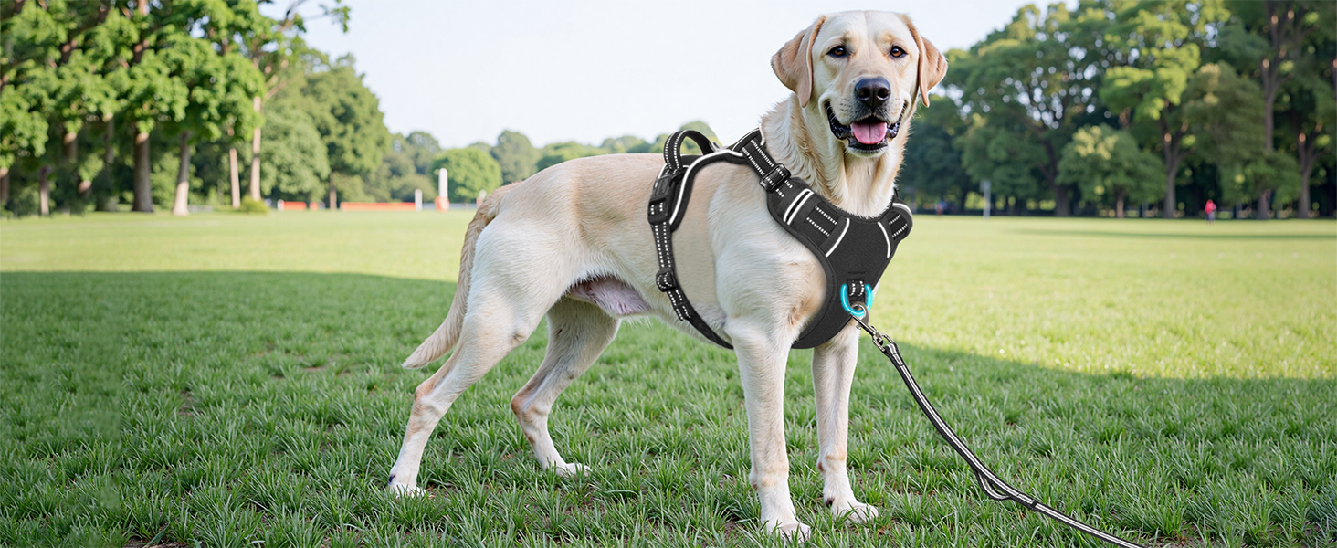 Шлейка для собак HEELE, No-Pull, для середніх собак, м'яка, дихаюча, регульована, світловідбиваюча, з м'яким ручним захопленням, чорна, розмір L