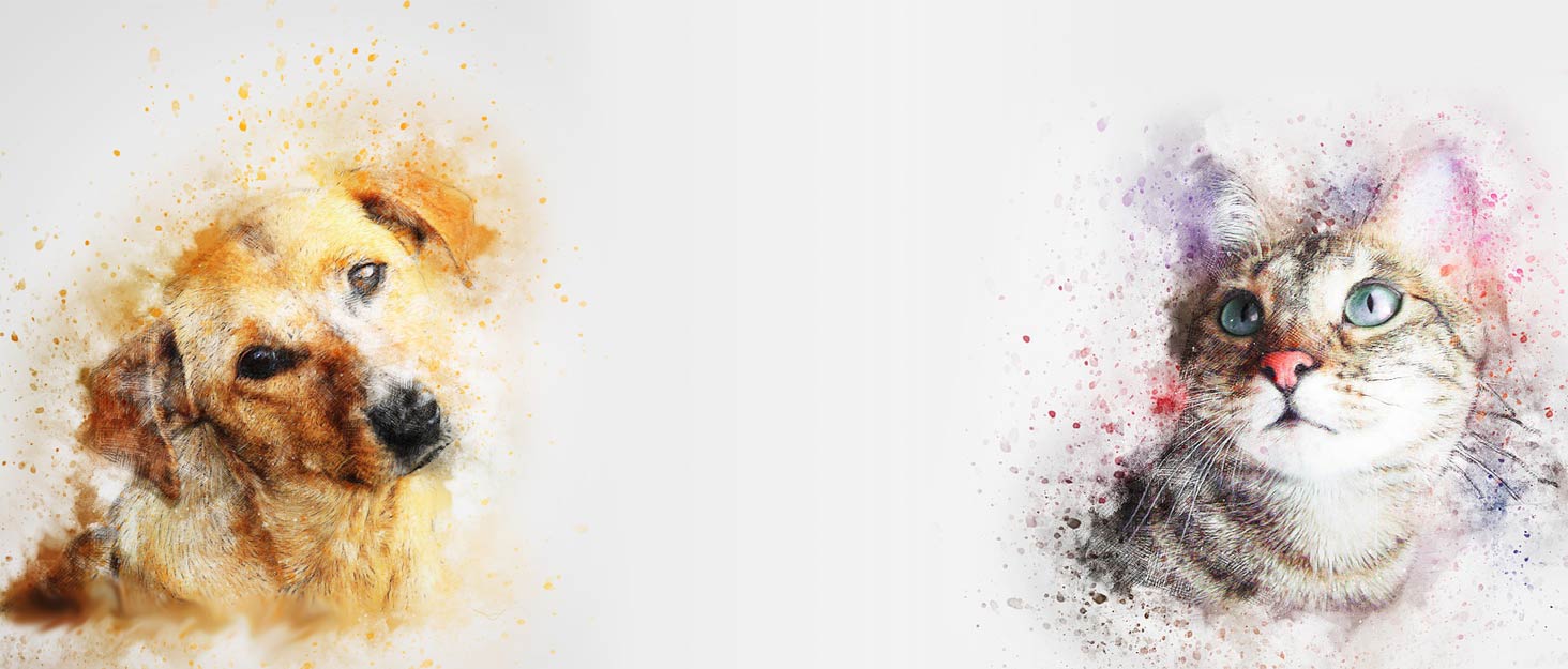 Килимок для собак Comfy, великі породи - миючий, плюшевий, стильний, 110x70 см, червоний