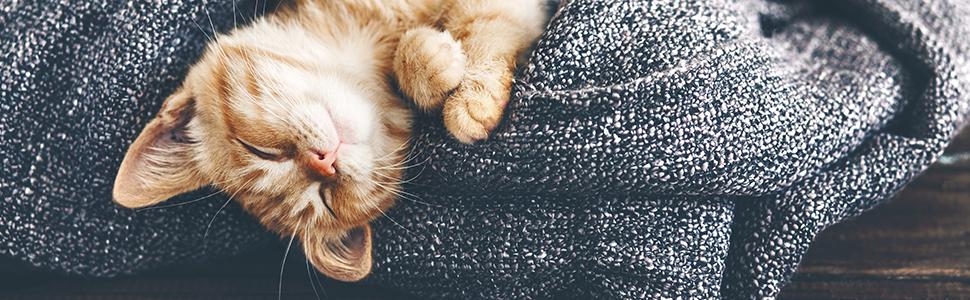 Будиночок для котів Relaxdays, двоповерховий, для дому, укриття для котів і маленьких собак, 38,5x74,5x37 см, світло-коричневий