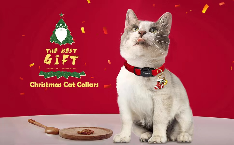 Нашийник для кота Cognatio з швидкою застібкою, з подвійного оксамиту, з дзвіночком, регульований (20-30 см), темно-фіолетовий