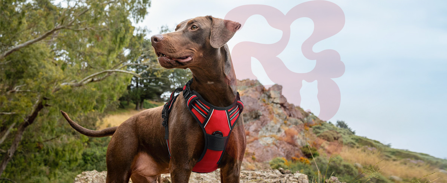 Нашийник для собак Rabbitgoo, великі породи, регульований, анти-тяга, з ручкою, м'який, світловідбиваючий, червоний, L (1 шт.)