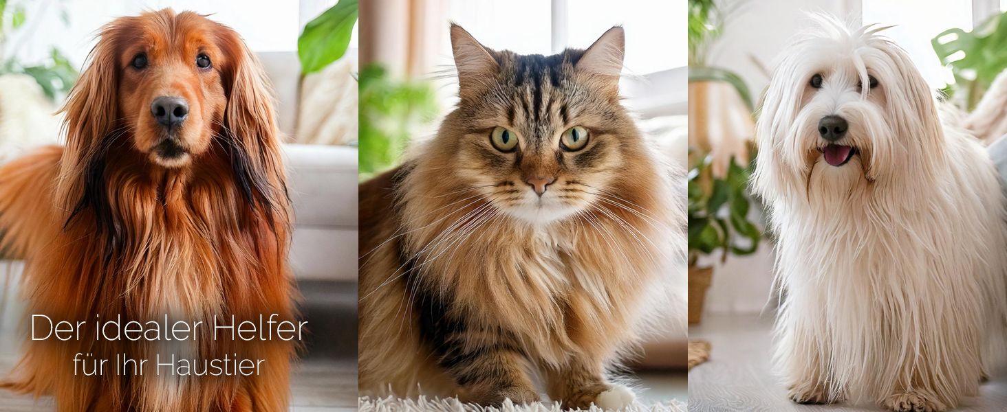 Ножиці для стрижки собак, вигнуті, 8 дюймів, з мікро-зубчиками