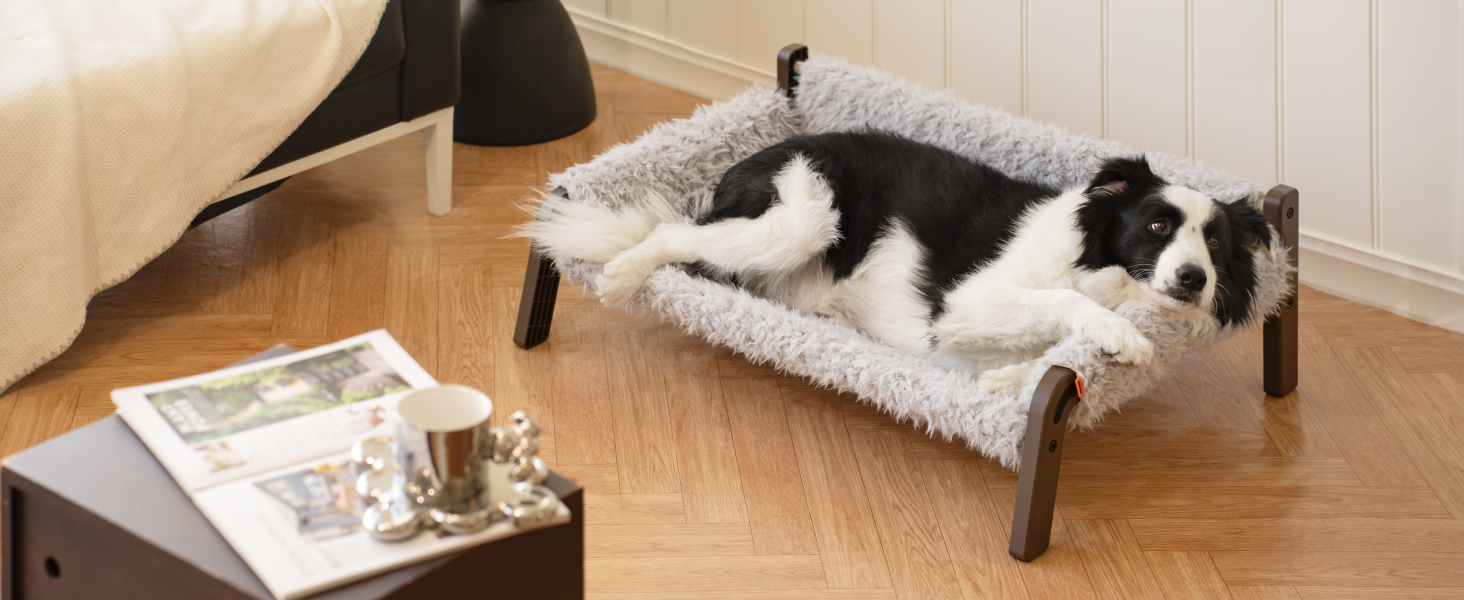 MEWOOFUN Dog Sofa Dog Bed Elevated - Dog Beds for Small and Medium Dogs with Non-Slip Bottom, Breathable Puppy Bed with Removable Cushion, Cat Sofa 61 x 53 x 28 cm, Brown