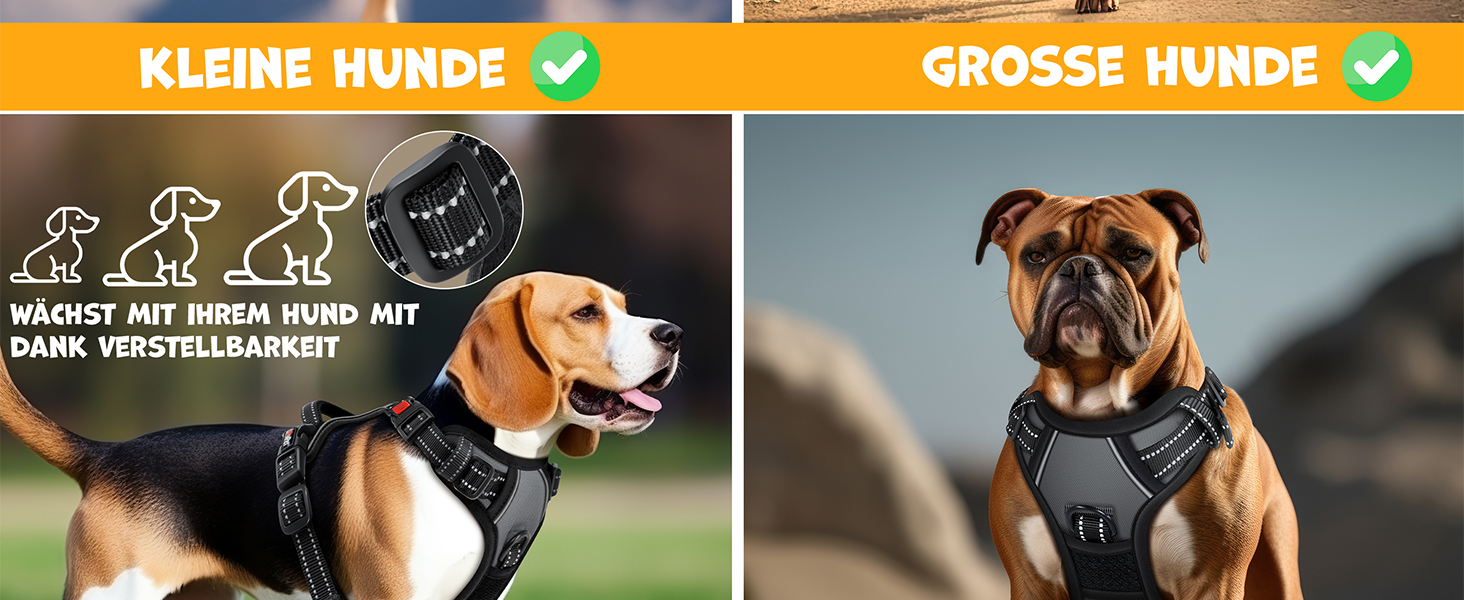 Шлейка для собак без натягу та задухи для маленьких собак та цуценят, дихаюча та м'яка, світловідбиваюча | Шлейка No-Pull з ручками та рулетами для відходів | Регульована шлейка з ручкою, колір антрацит, розмір L