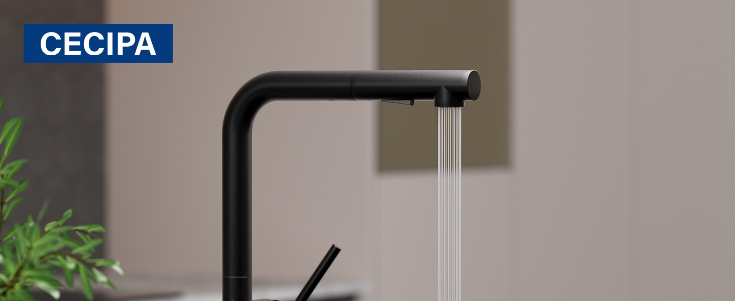 Кран кухонний CECIPA X203B чорний з висувною лійкою, 360° поворот, двома струменями, з нержавіючої сталі